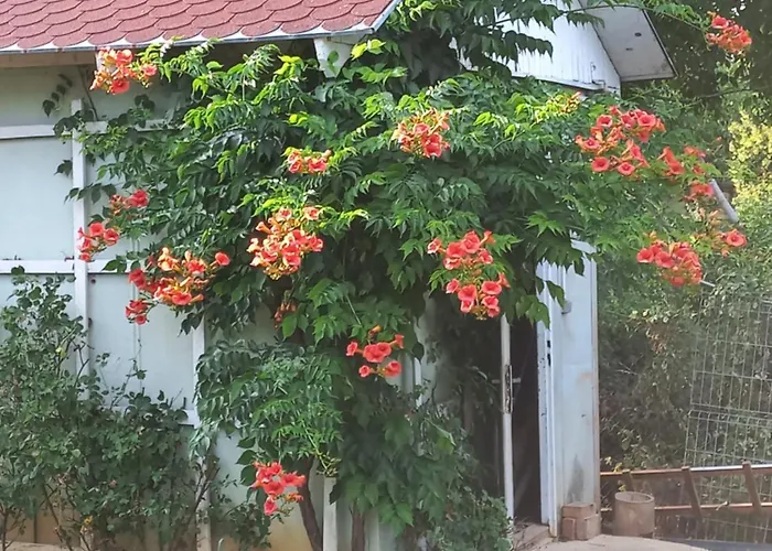 Paradise Διαμέρισμα