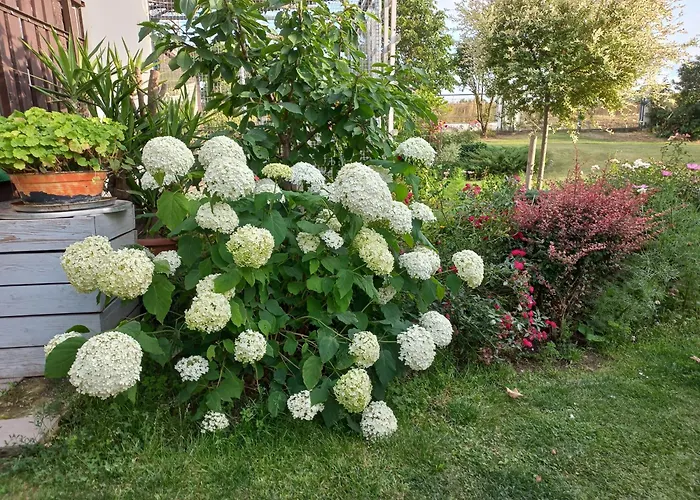 Διαμέρισμα Paradise Πράγα