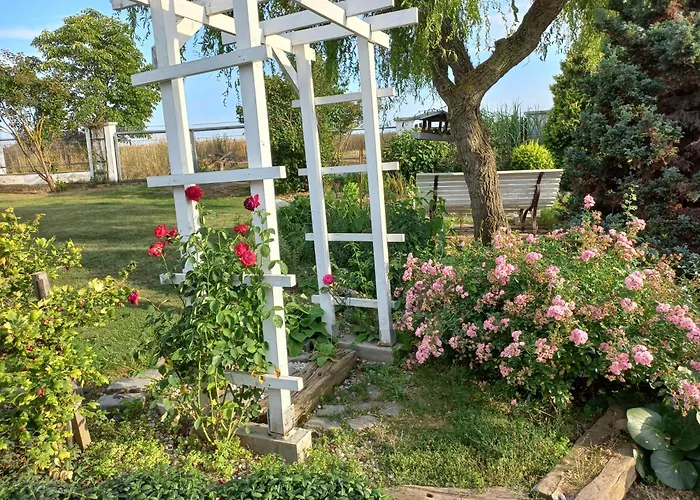 Paradise *