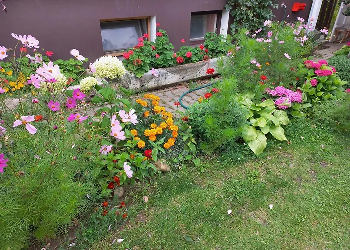 Paradise Appartement