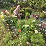Paradise