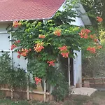 Paradise Apartment